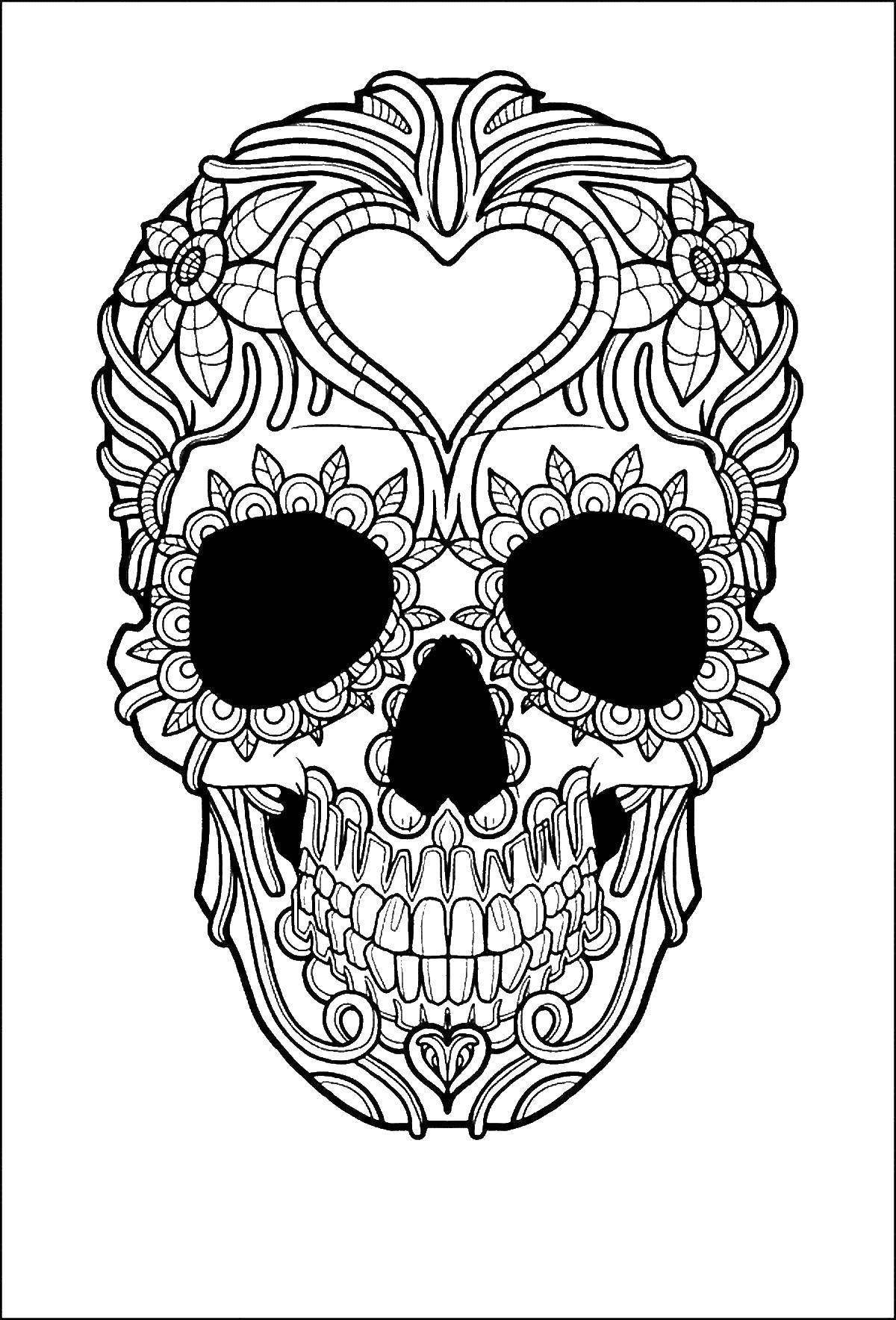 Art coloring skull