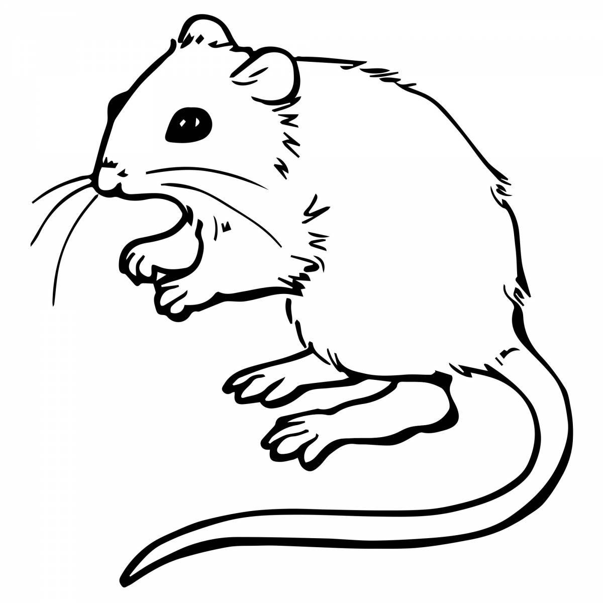 Friendly coloring rat