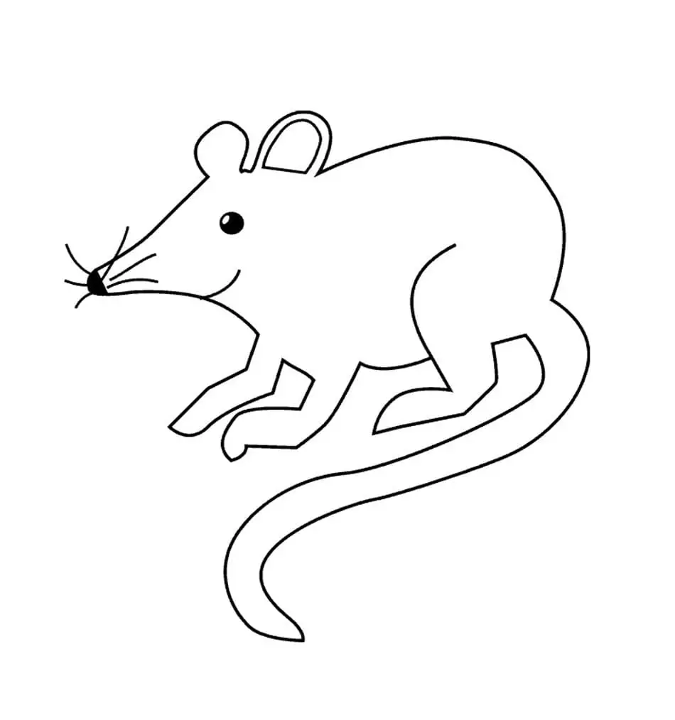Charming coloring rat
