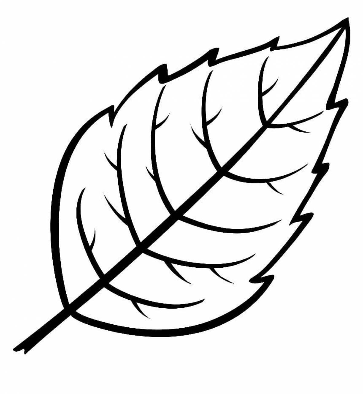Exquisite leaves coloring pages