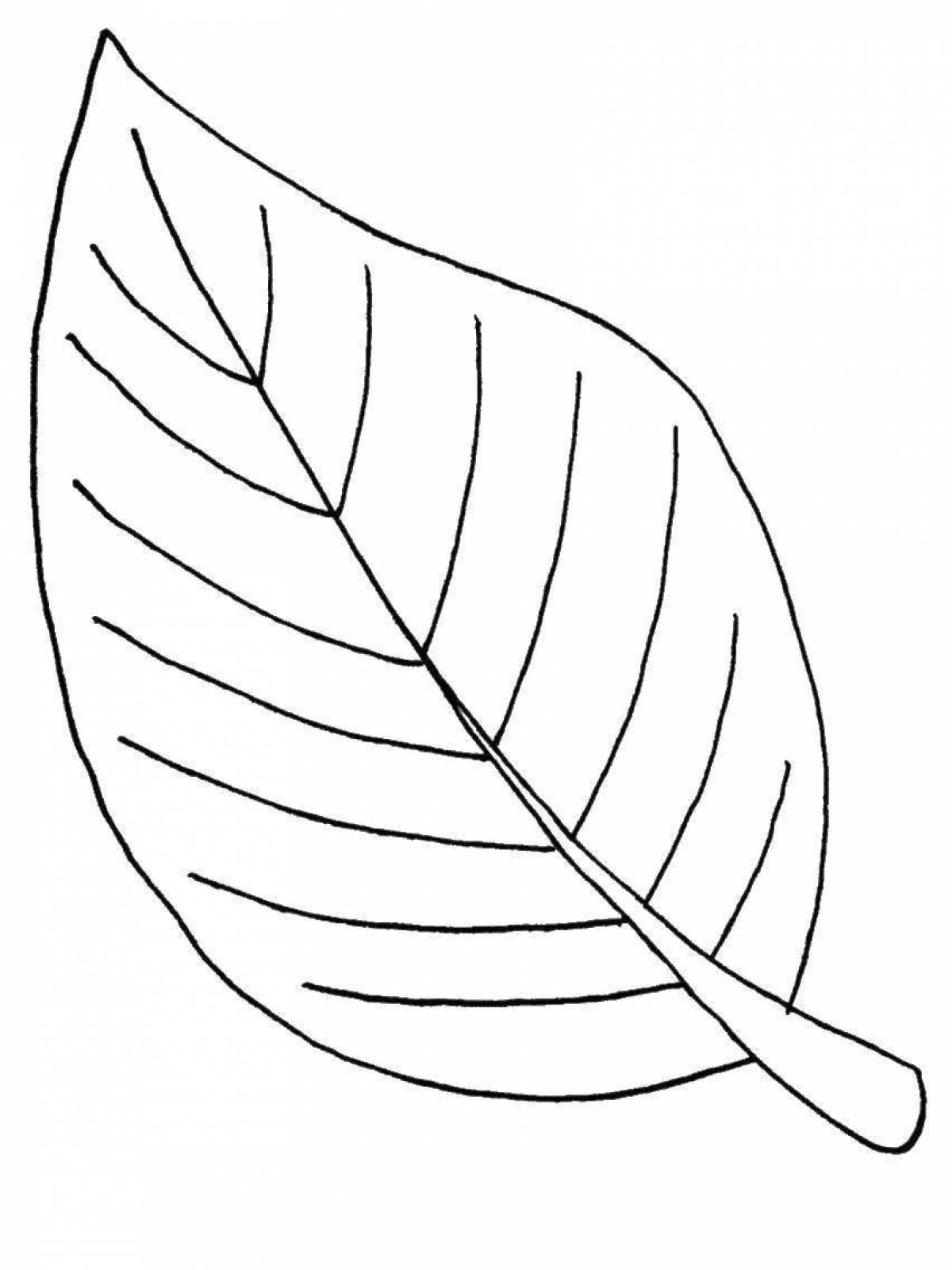 Adorable leaves coloring book