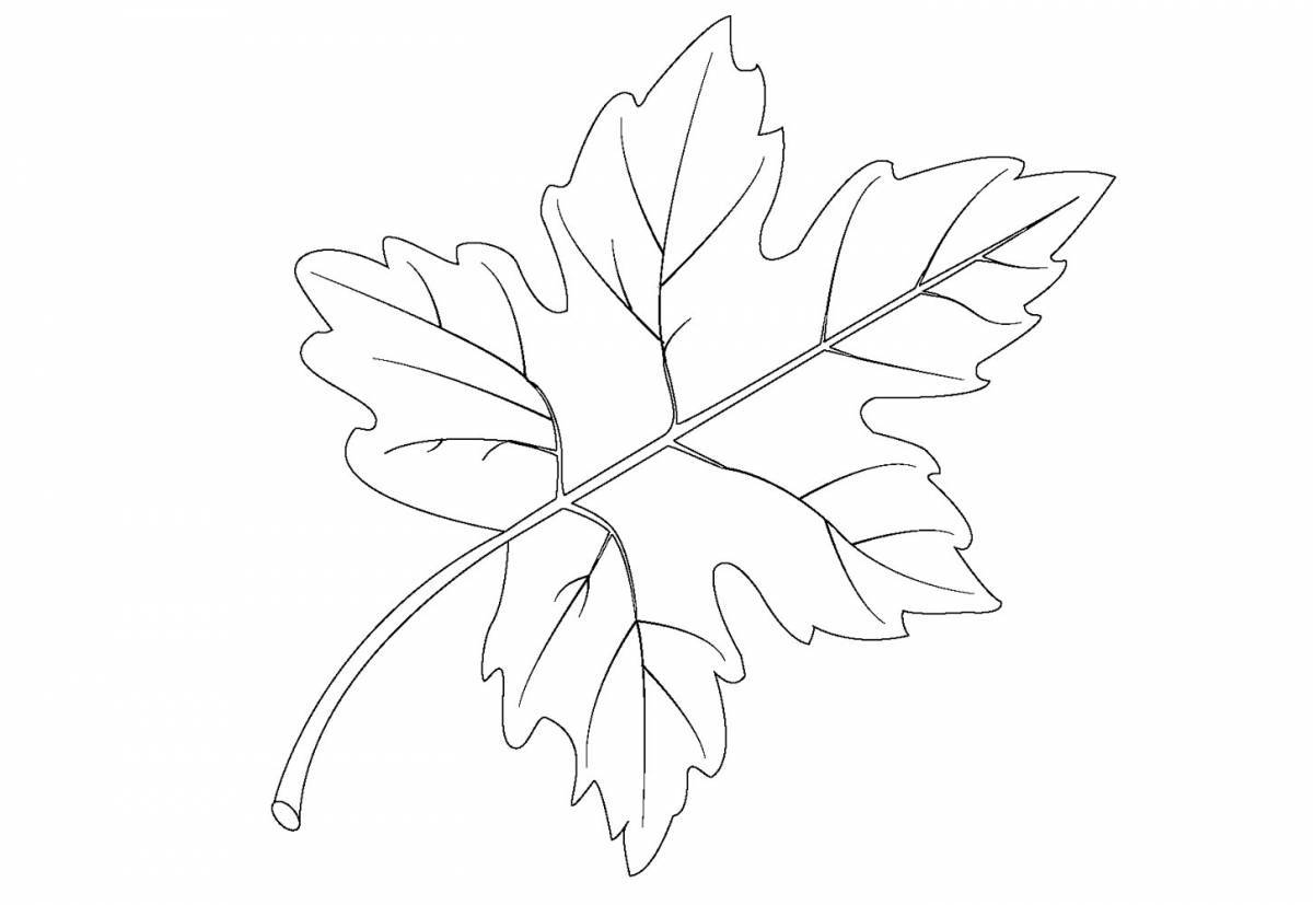 Glitter leaf coloring page