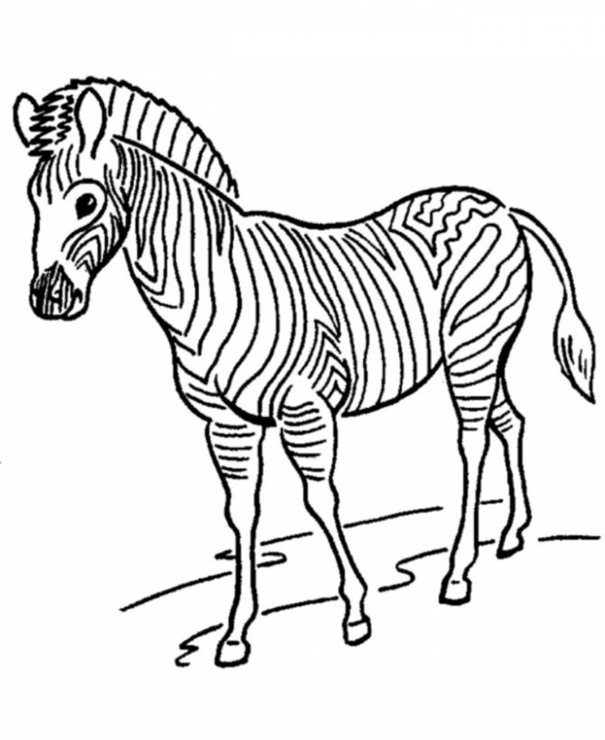 Увлекательная раскраска зебра для детей