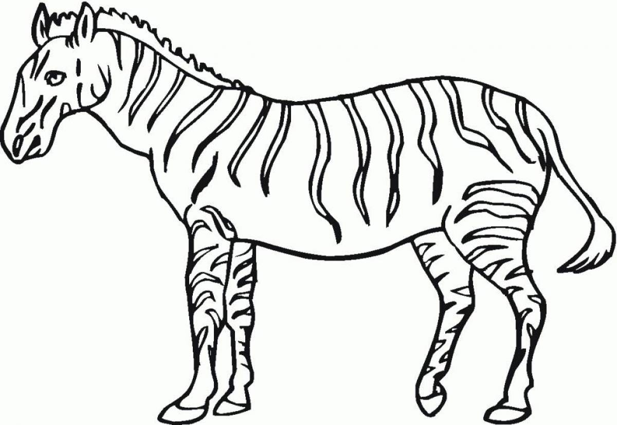 Сладкая зебра раскраска для детей