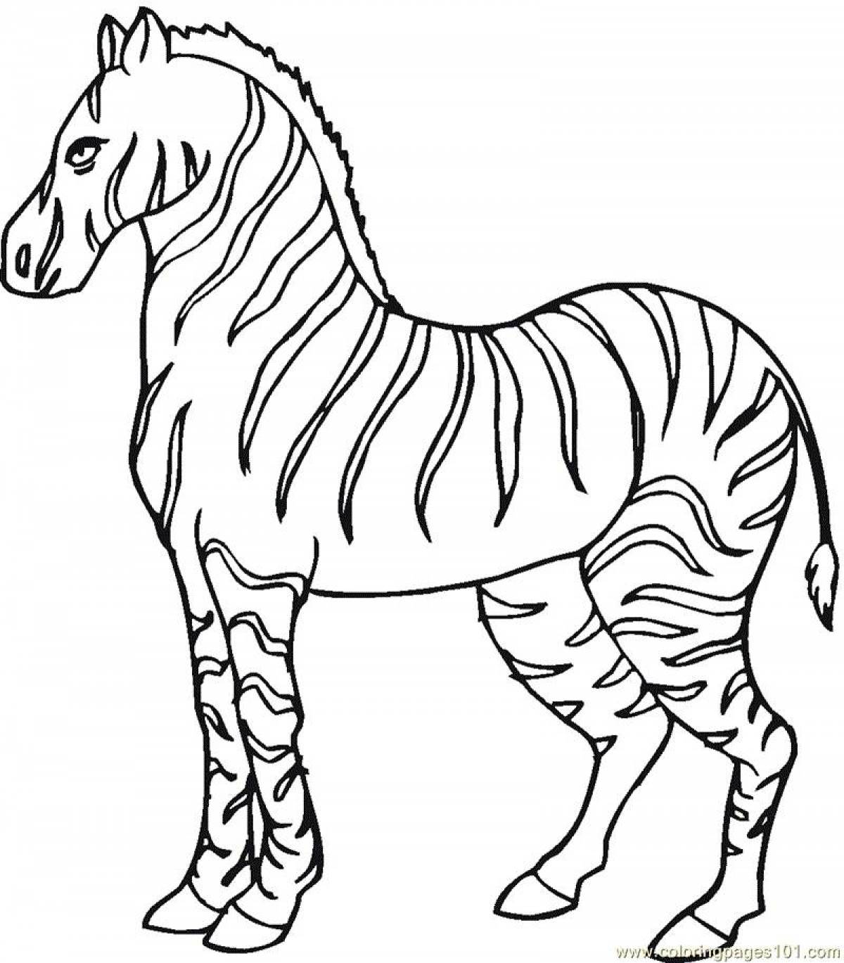 Забавная раскраска зебра для детей
