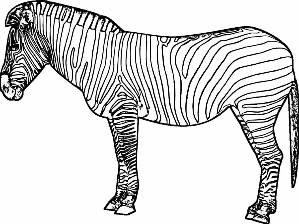 Colorful zebra coloring page for kids
