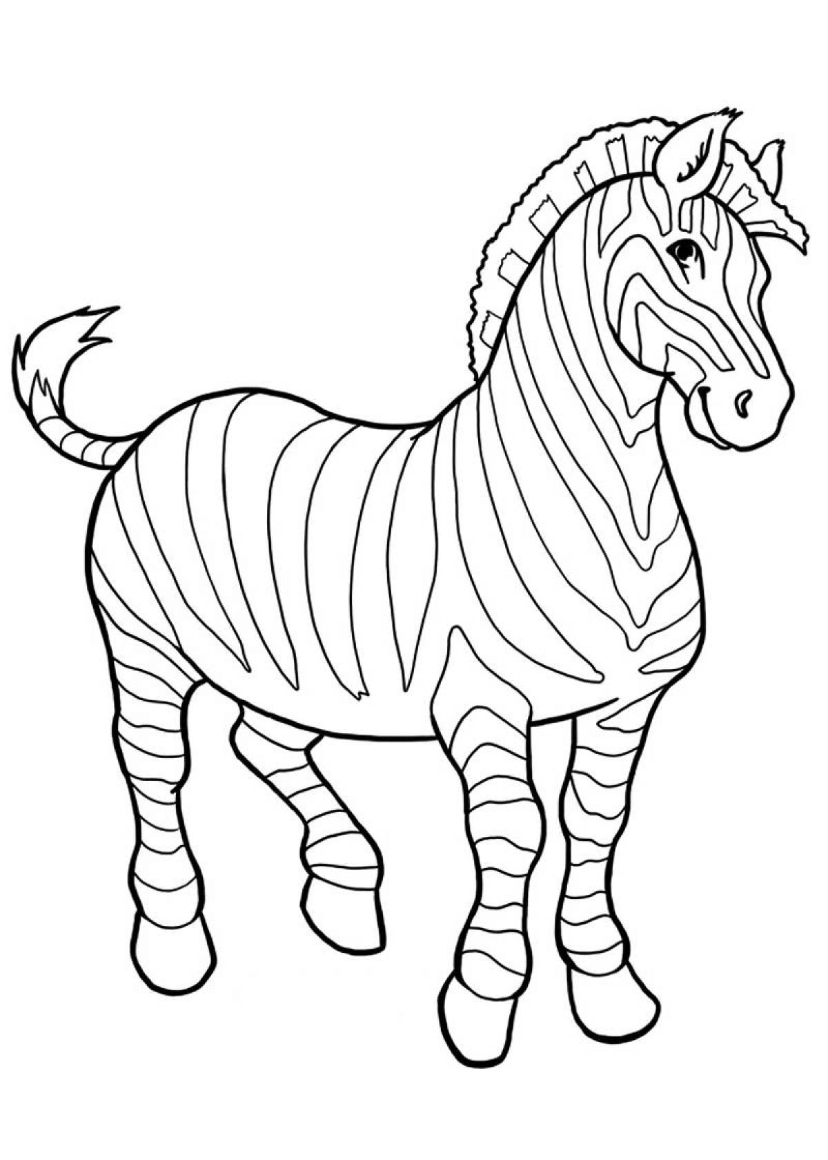 Zebra coloring book for kids