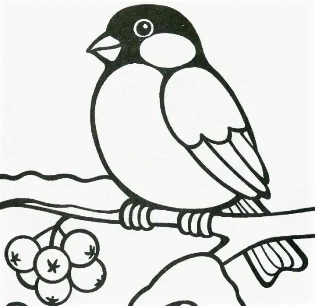 Bright bullfinch coloring book for kids 3-4 years old