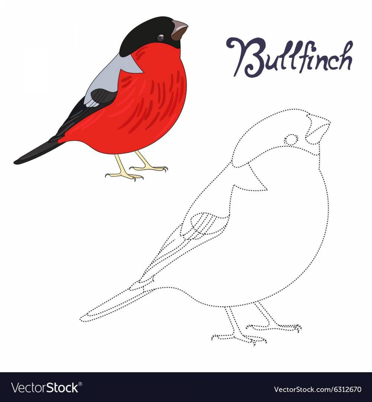Great bullfinch coloring book for the little ones