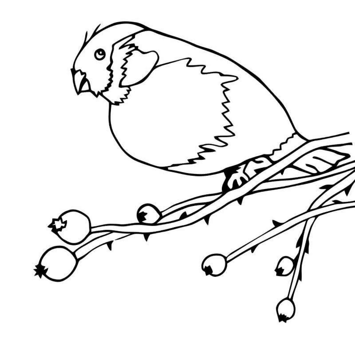 Птицы зимой рисунок раскраска