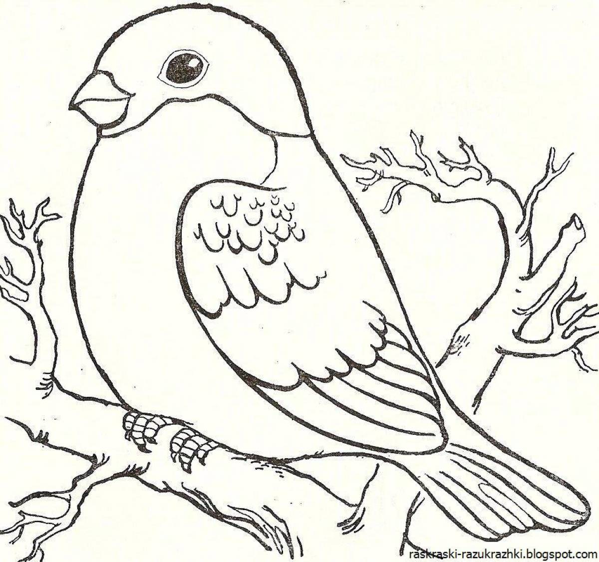 Flawless bullfinch coloring for kids