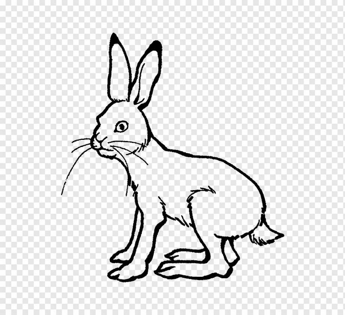 Игристая раскраска заяц изображение