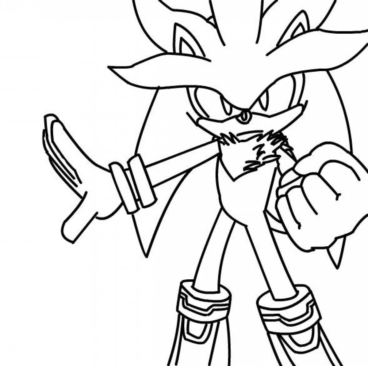 Exquisite sonic shadow coloring book