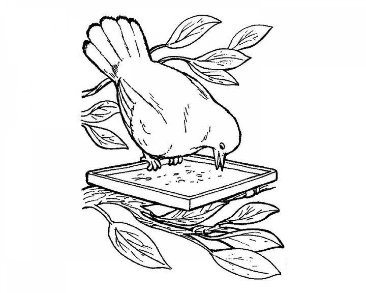 Adorable bird feeder coloring page for kids