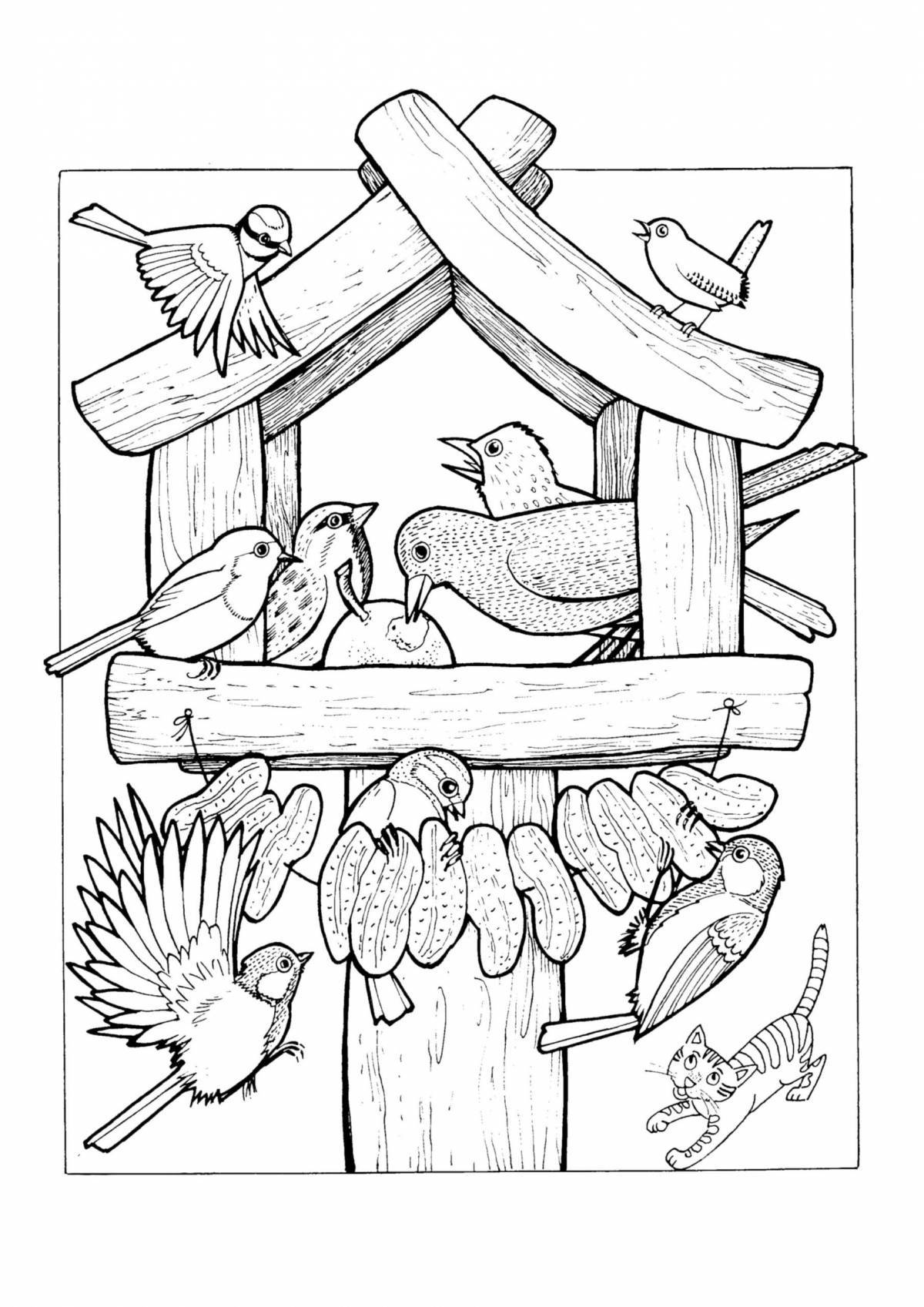Exquisite bird feeder coloring book for kids