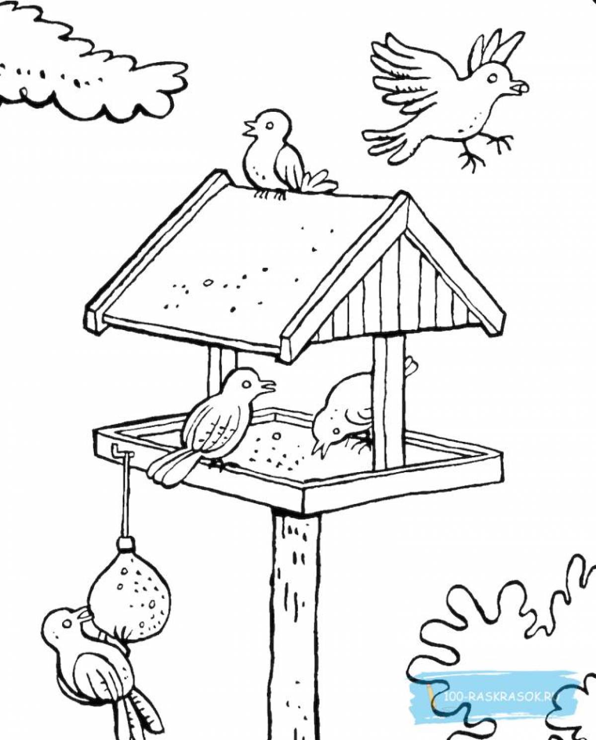 Creative bird feeder coloring book for kids