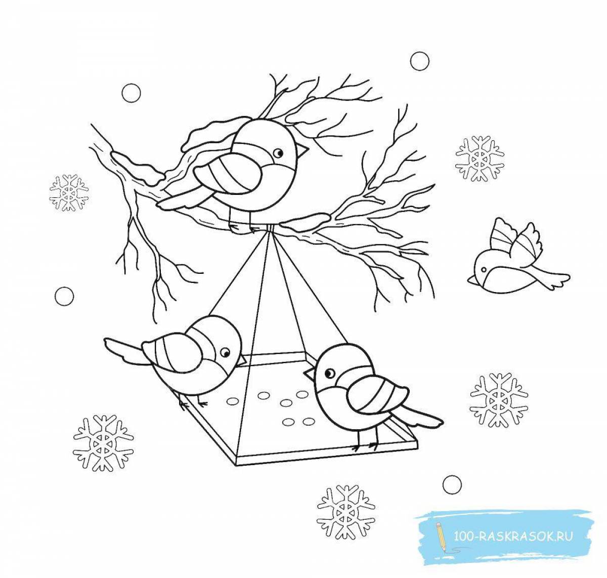 Innovative bird feeder coloring page for kids