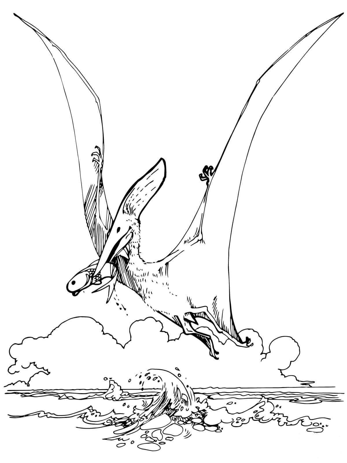 Colorful pterodactyl coloring page