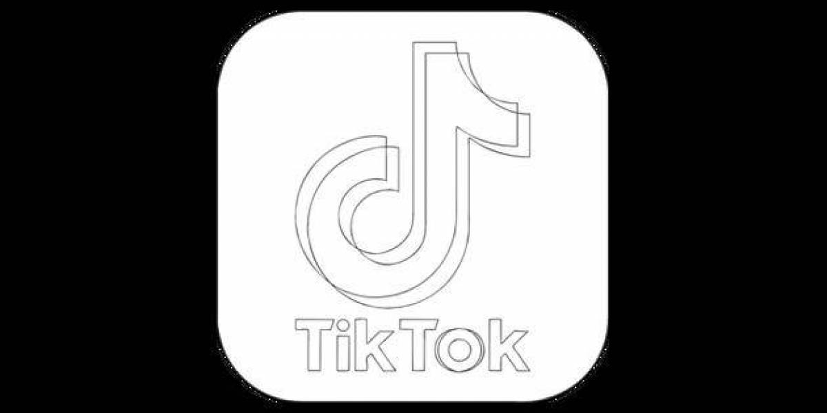 Бебрик Из Тик Ток
