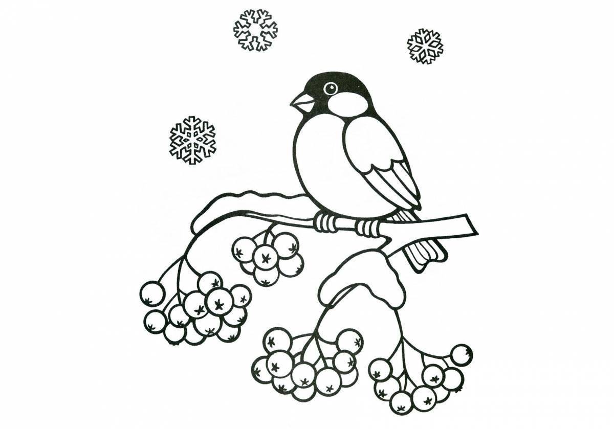 Раскраска птицы Снегирь