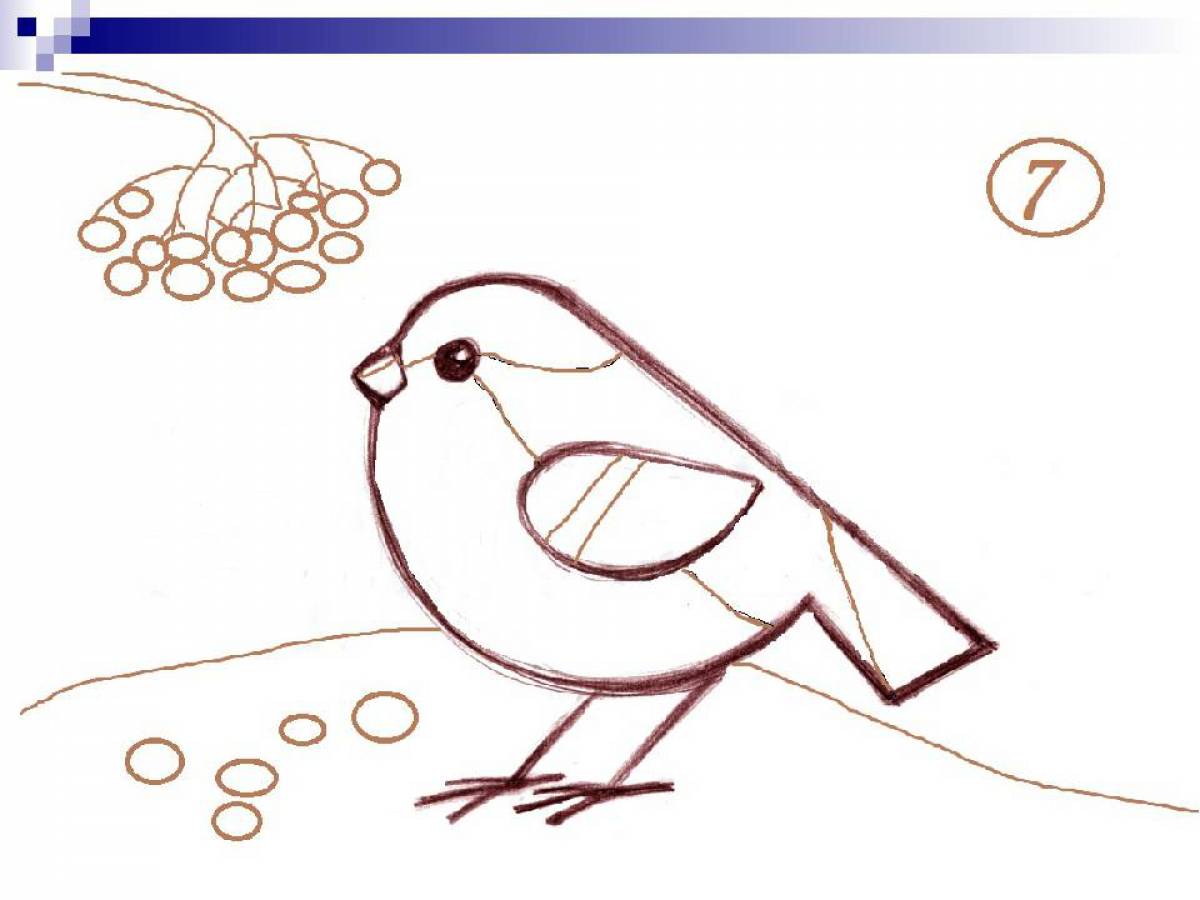 Рисование для детей зимующие птицы для дошкольников