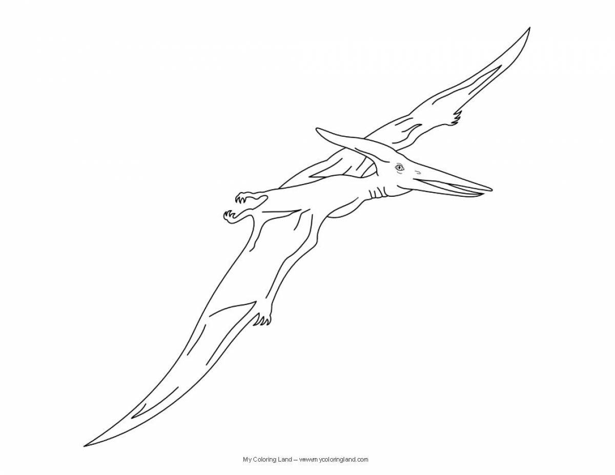 Playful pterodactyl coloring page