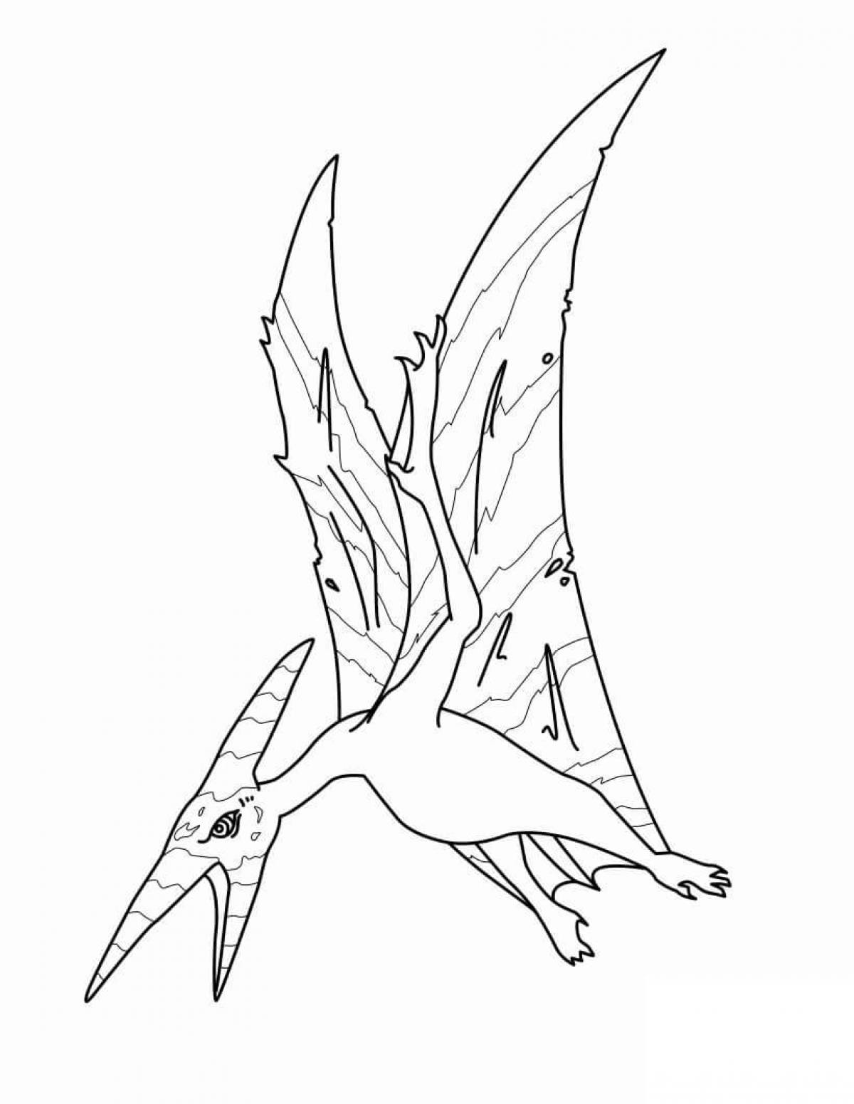 Funny pterodactyl coloring book