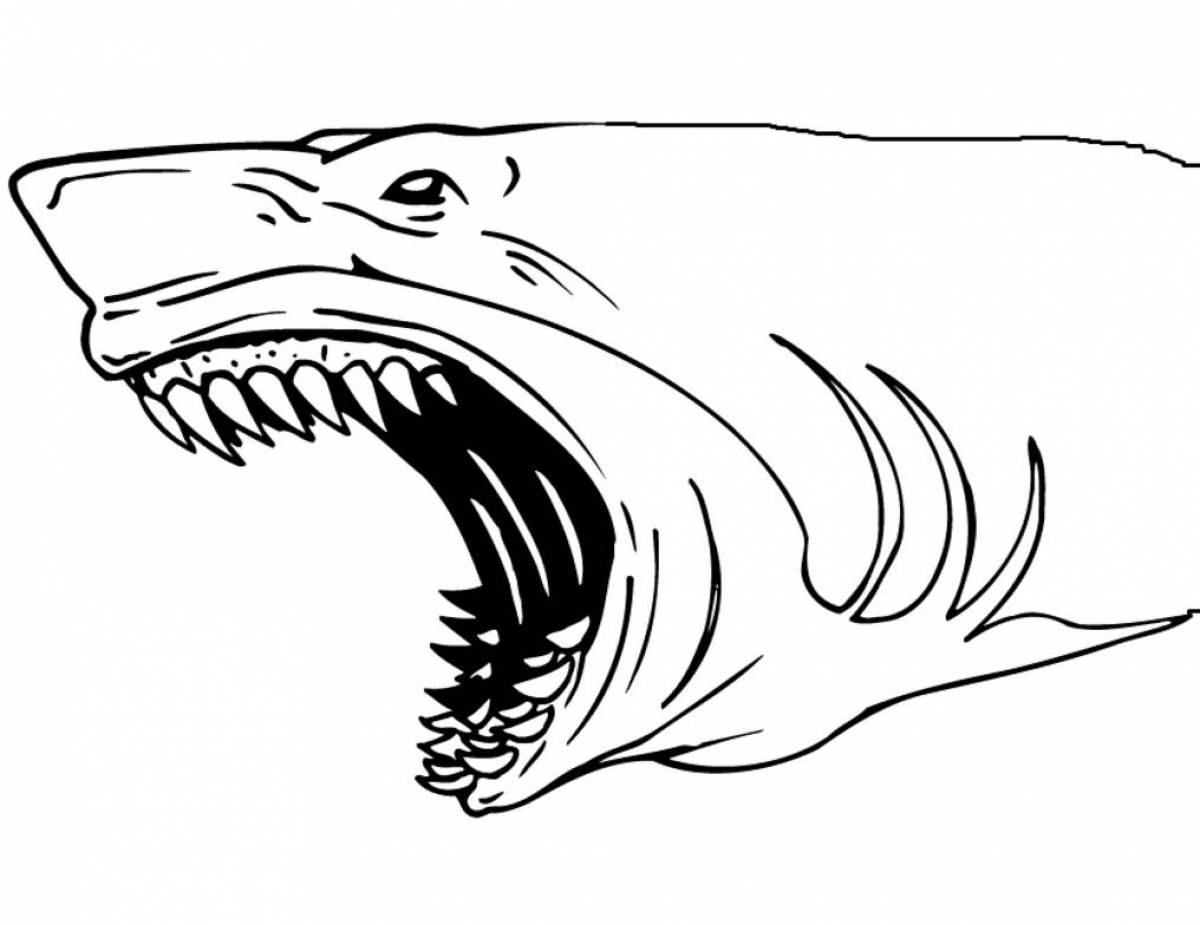 Majestic megalodon coloring page