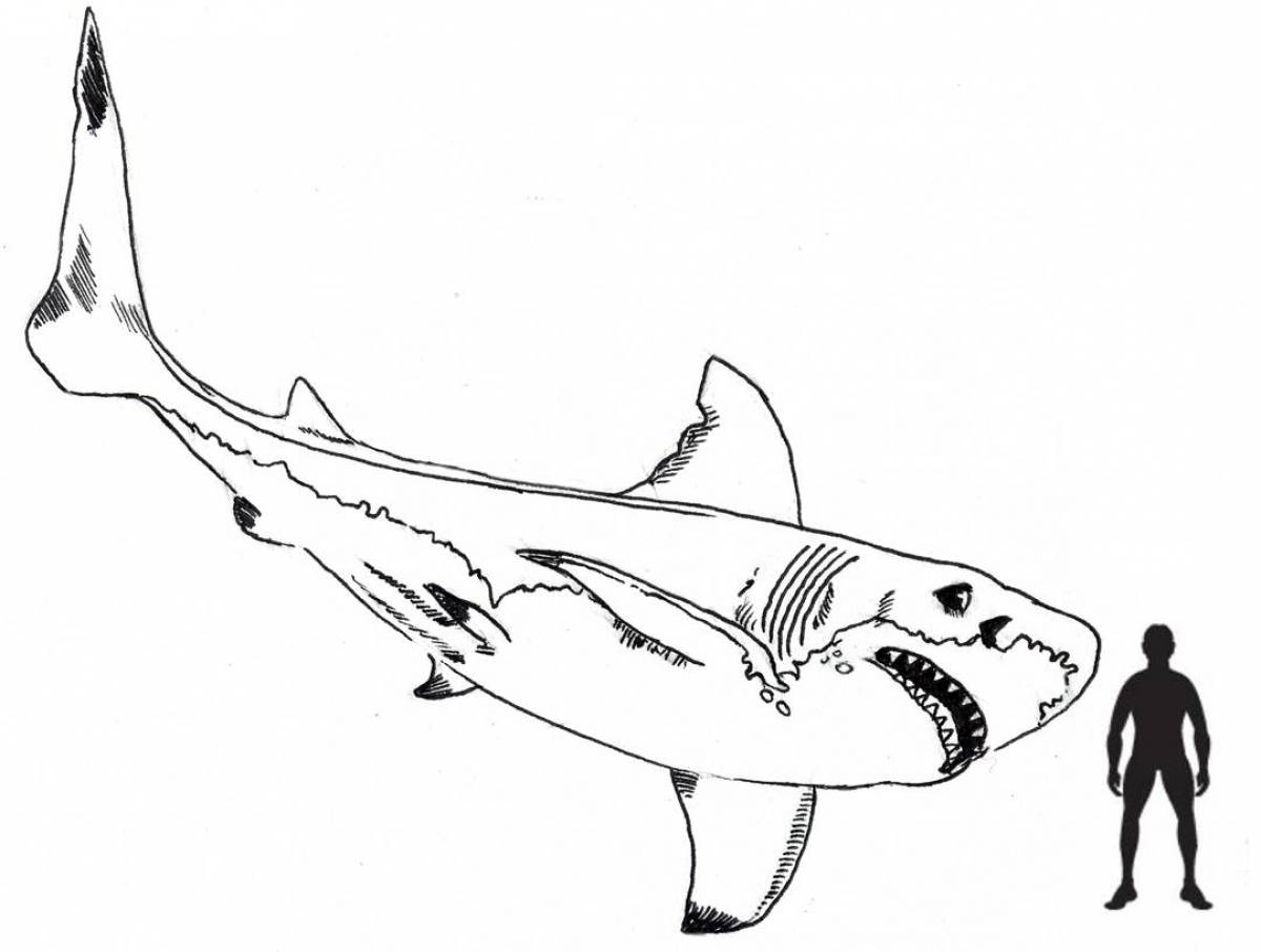 Megalodon's vibrant coloring page
