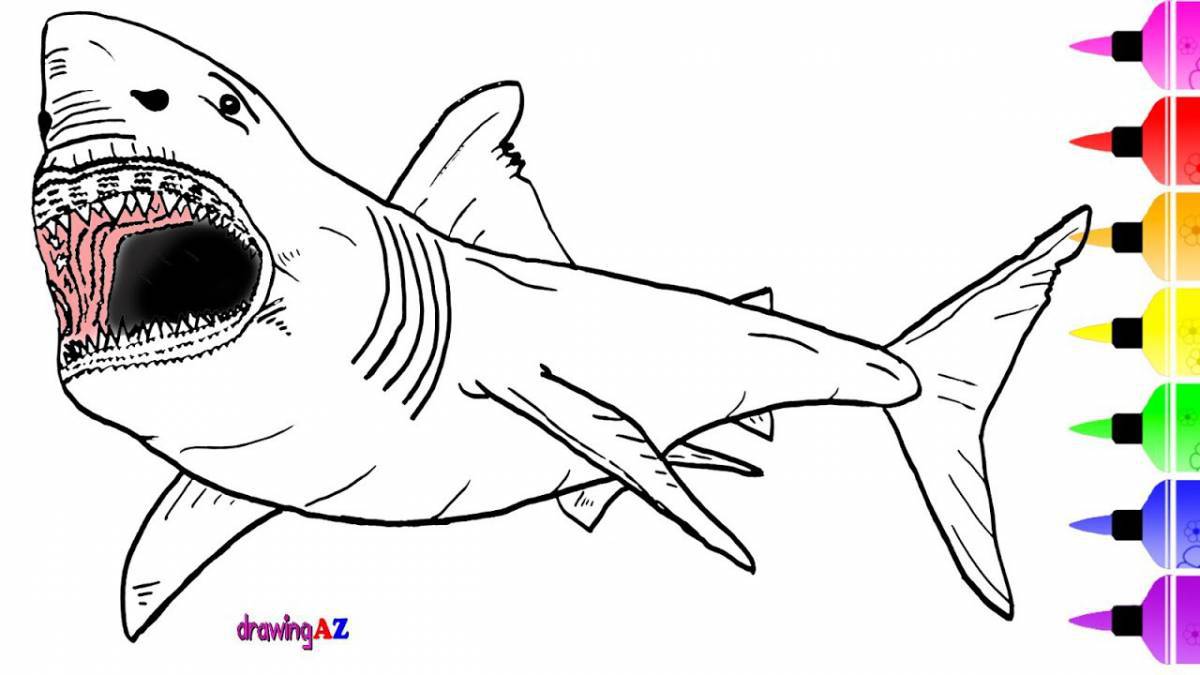 Exquisite megalodon coloring book