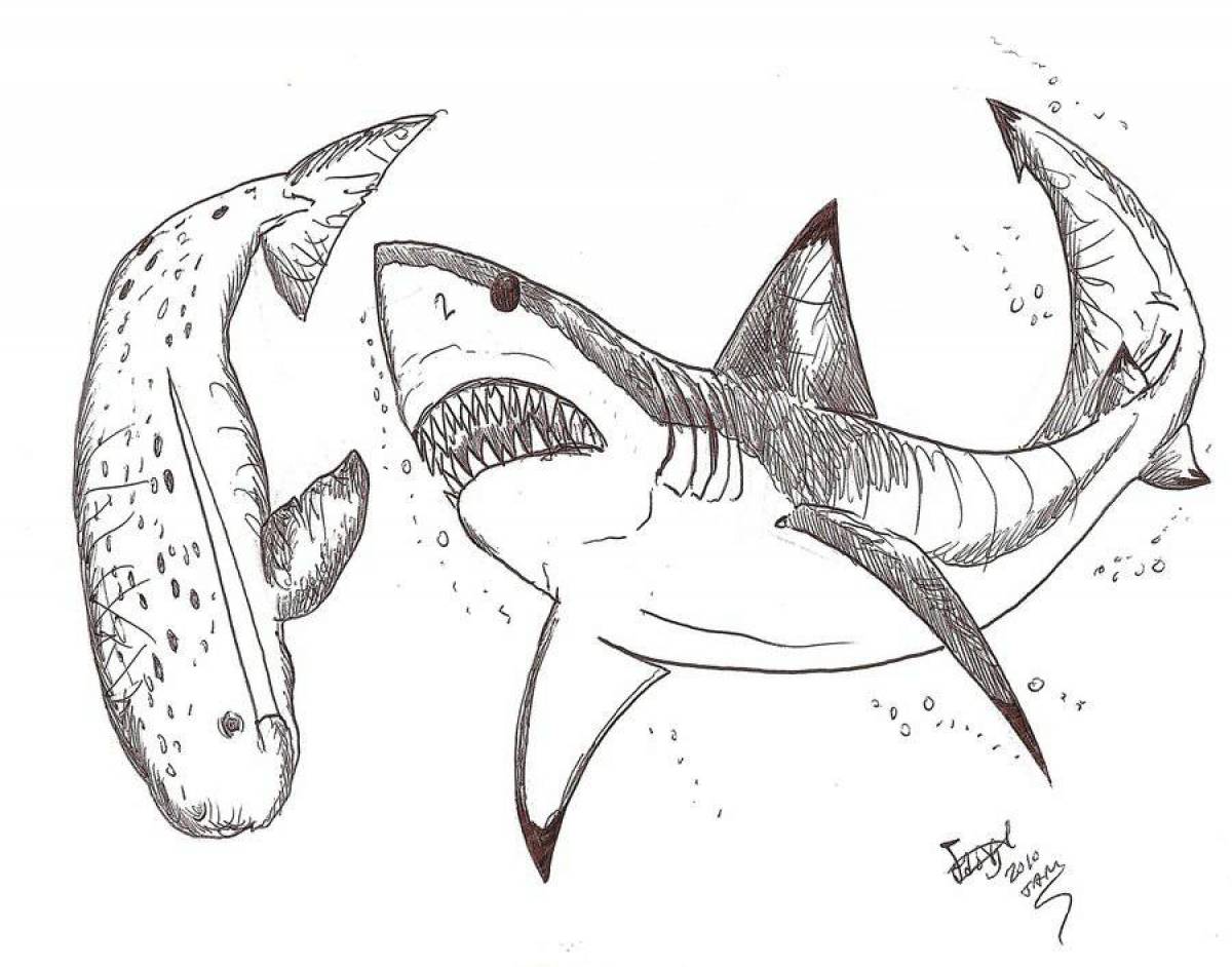 Megalodon coloring book