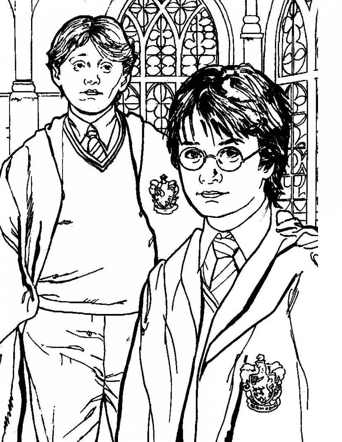 Harry potter humorous coloring book