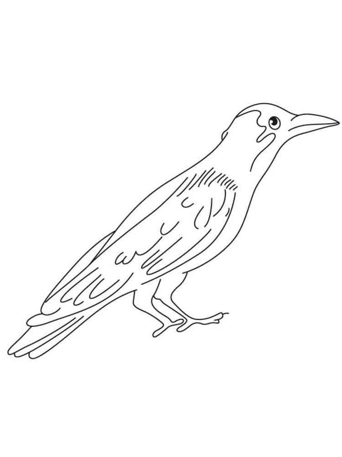 Развлекательная раскраска ворона для детей
