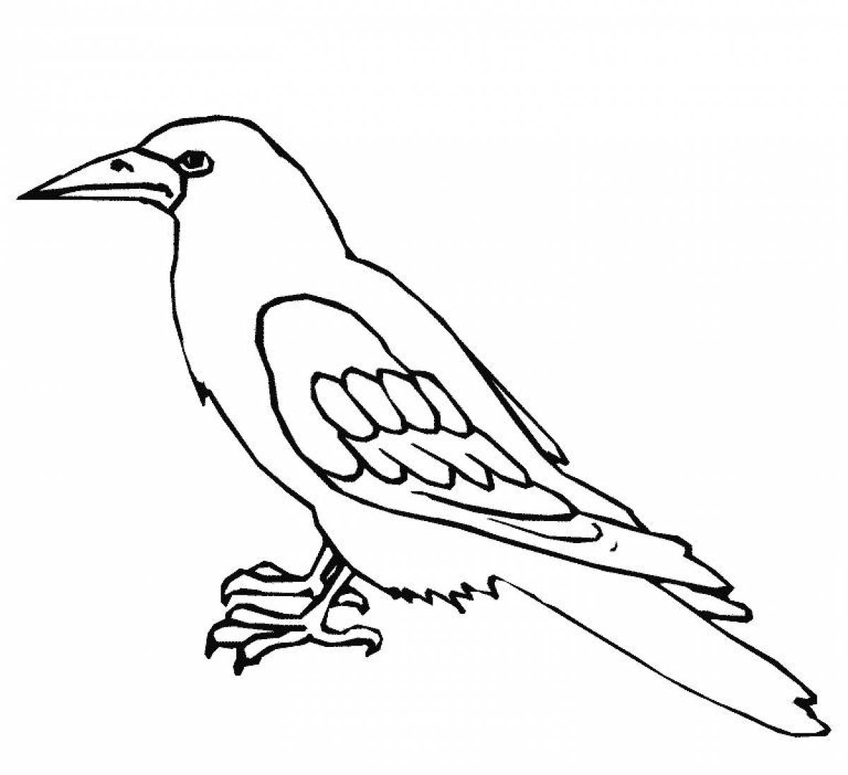 Adorable crow coloring book for kids