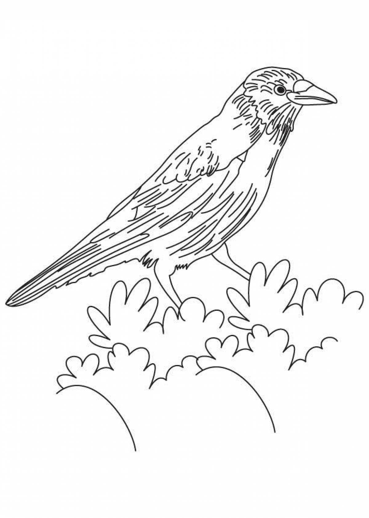 Creative crow coloring for kids