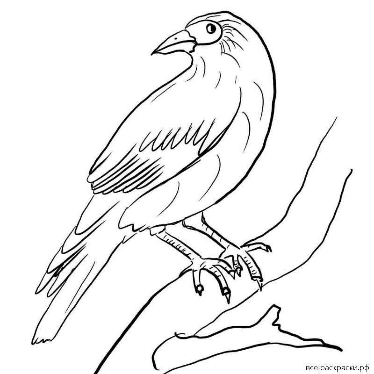 Colorful crow coloring book for kids