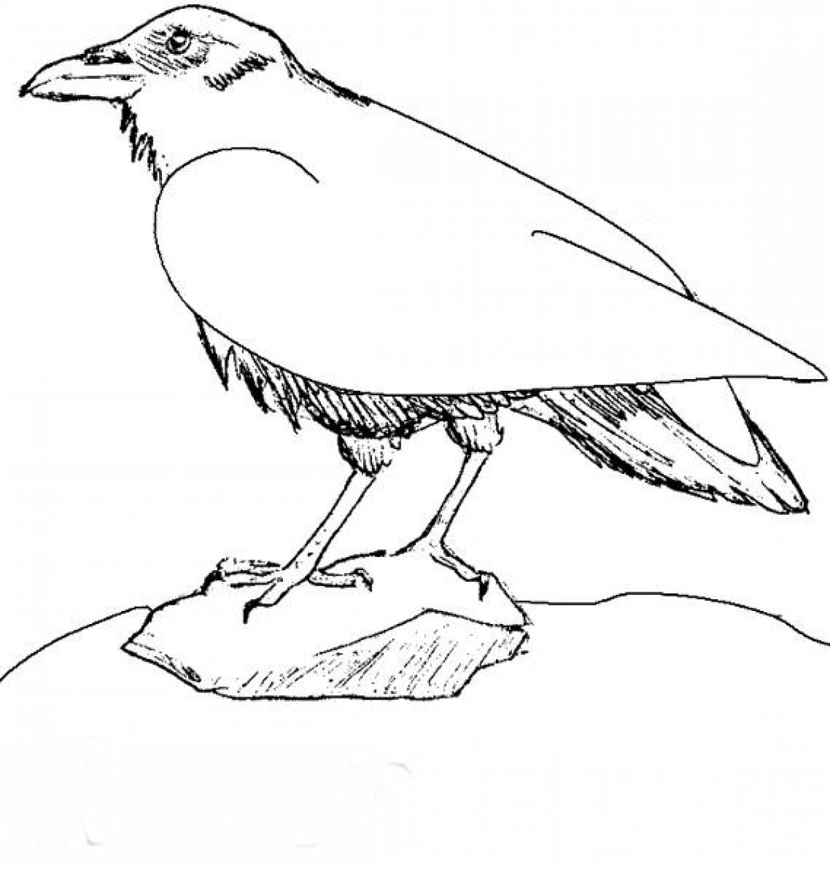 Living crow coloring book for kids