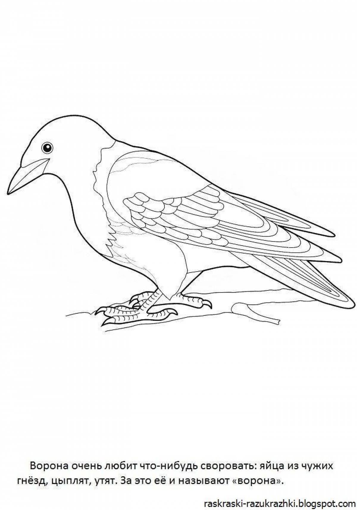 Coloring page nice crow for kids