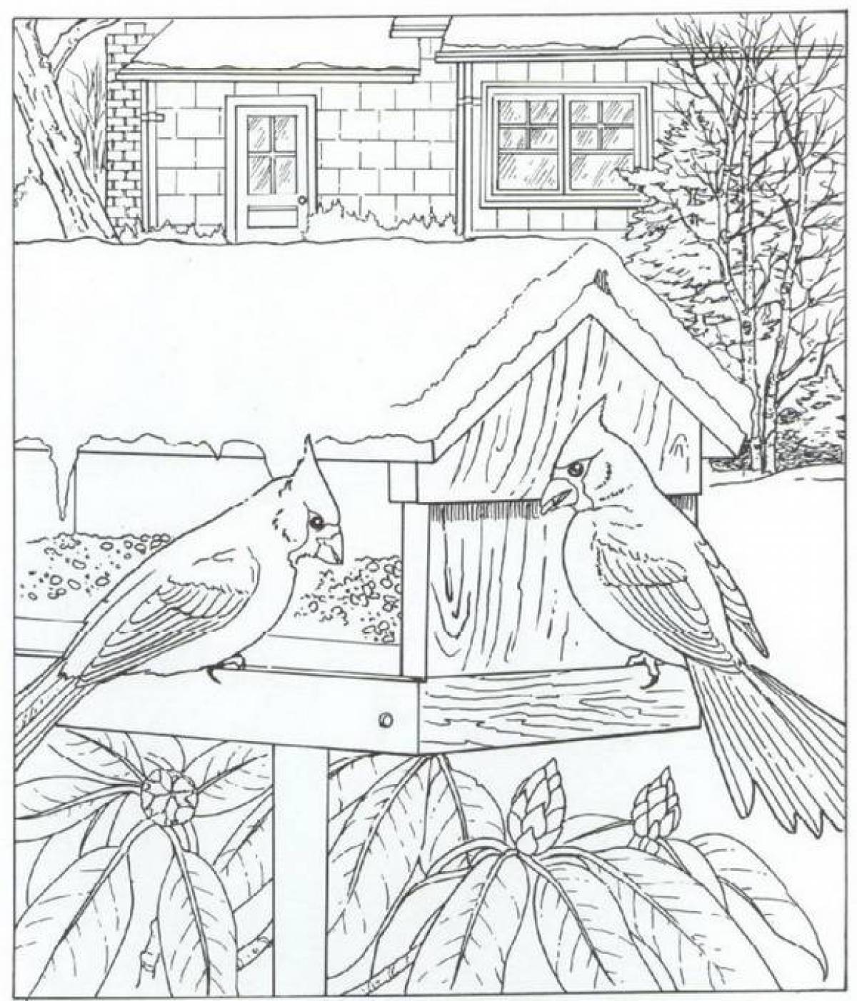 Shining winter birds coloring page