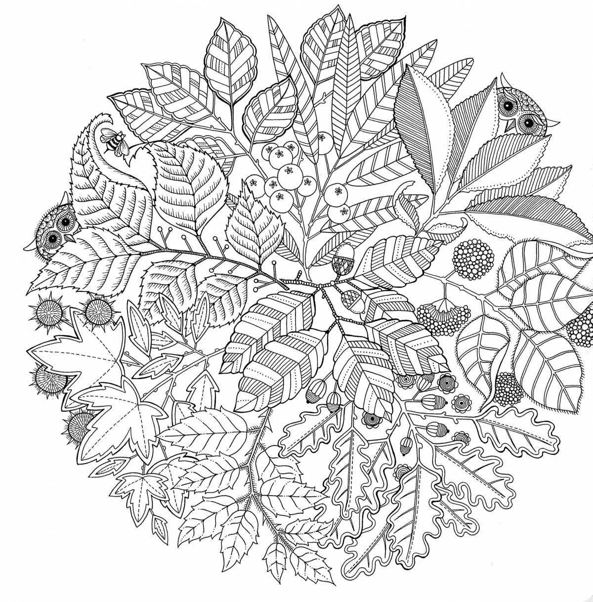 Radiant Wednesday 2022 Coloring Page