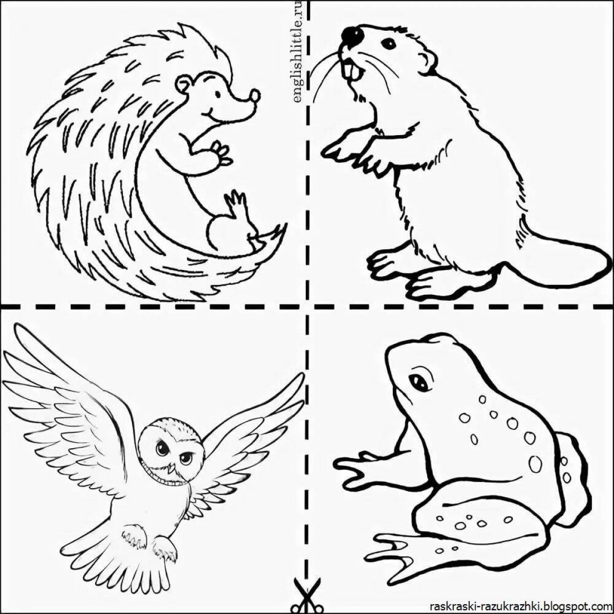 Раскраска экзотических диких животных для детей 4-5 лет