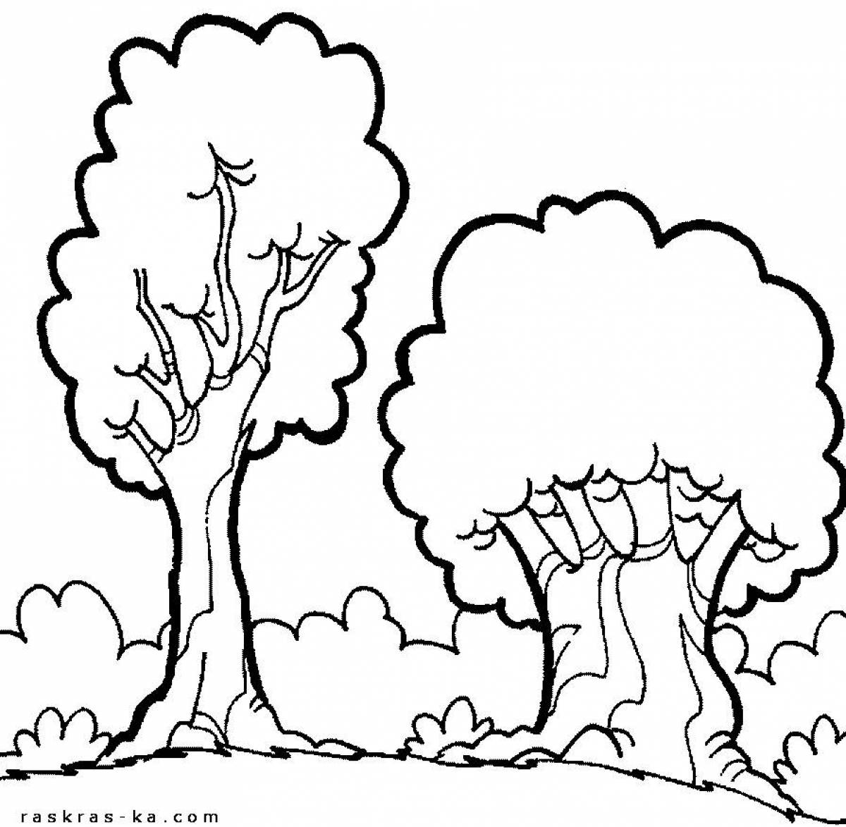 Adorable forest coloring book for kids