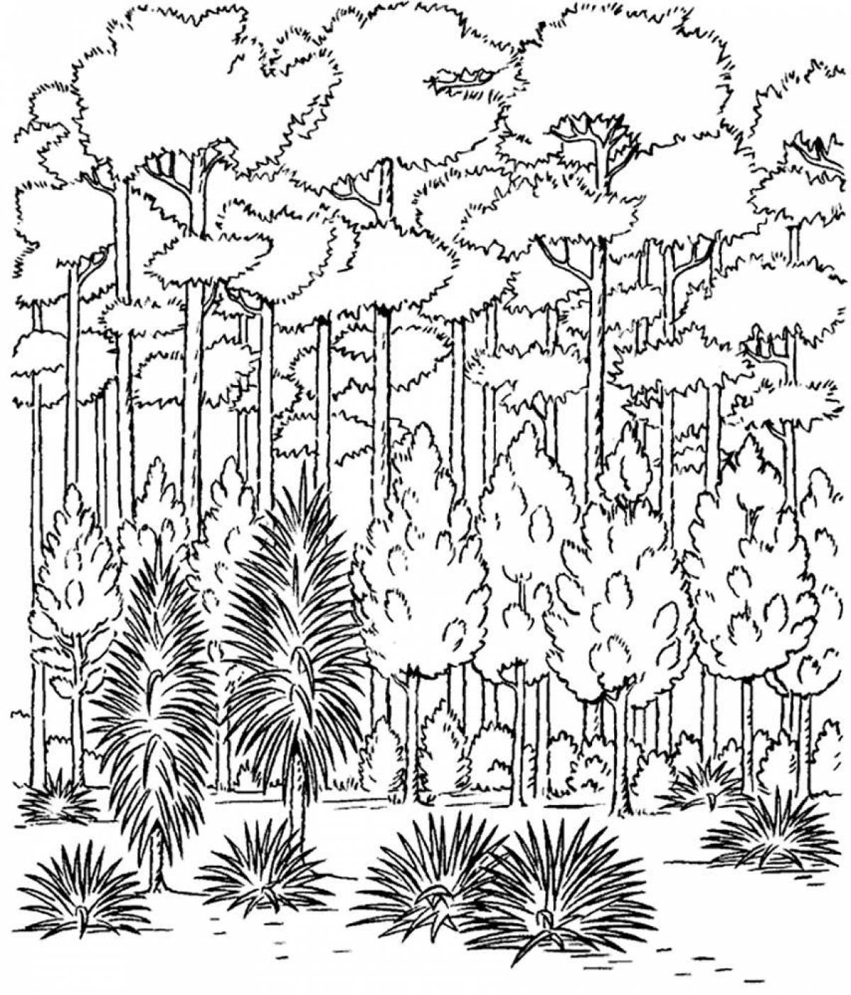 Exciting forest coloring book for kids