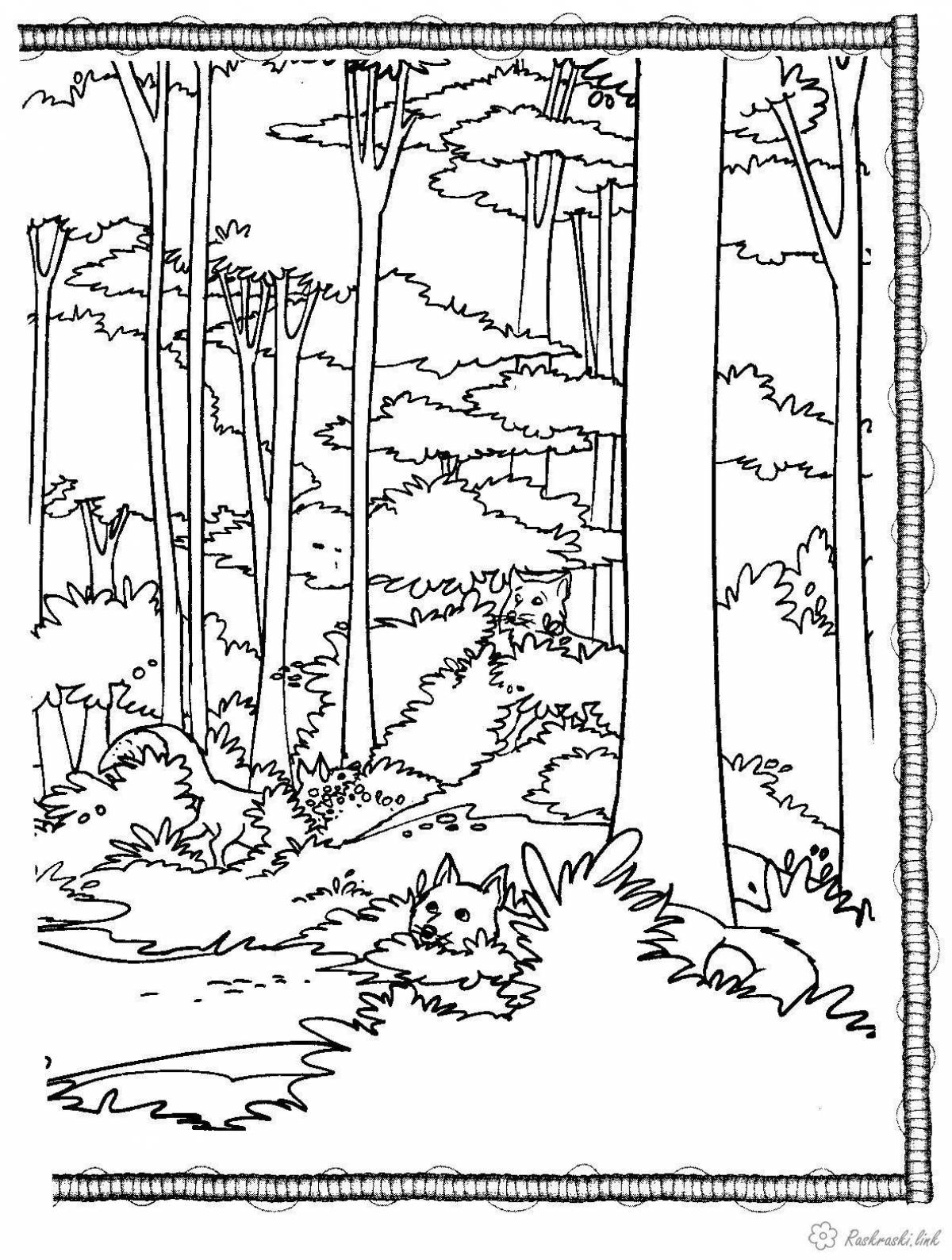 Dreamy forest coloring book for kids