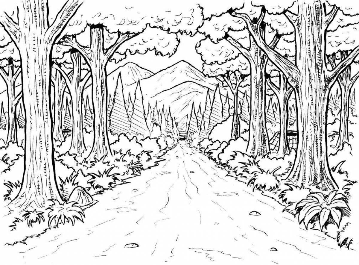 Majestic forest coloring book for kids