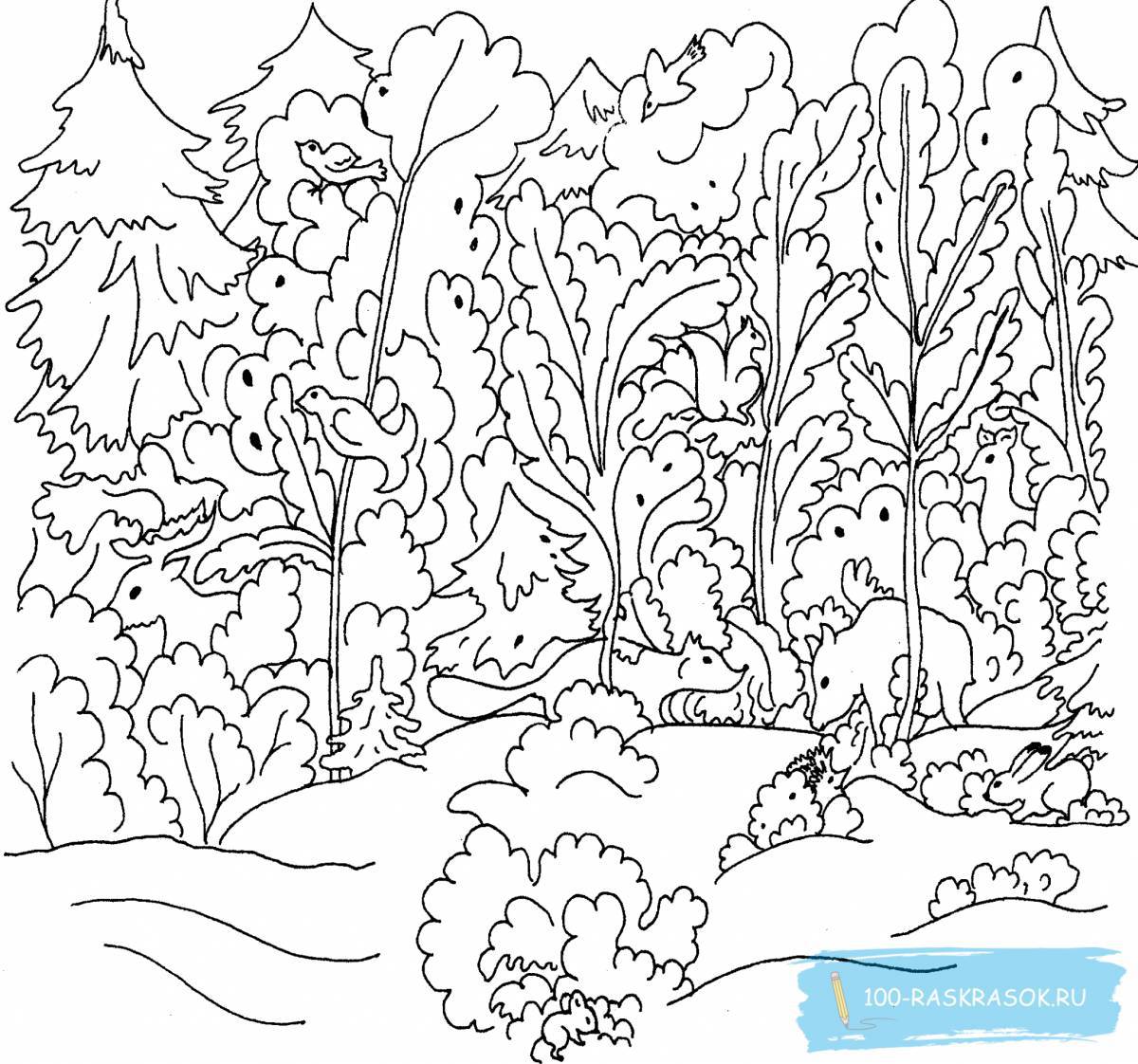 Coloring forest for kids