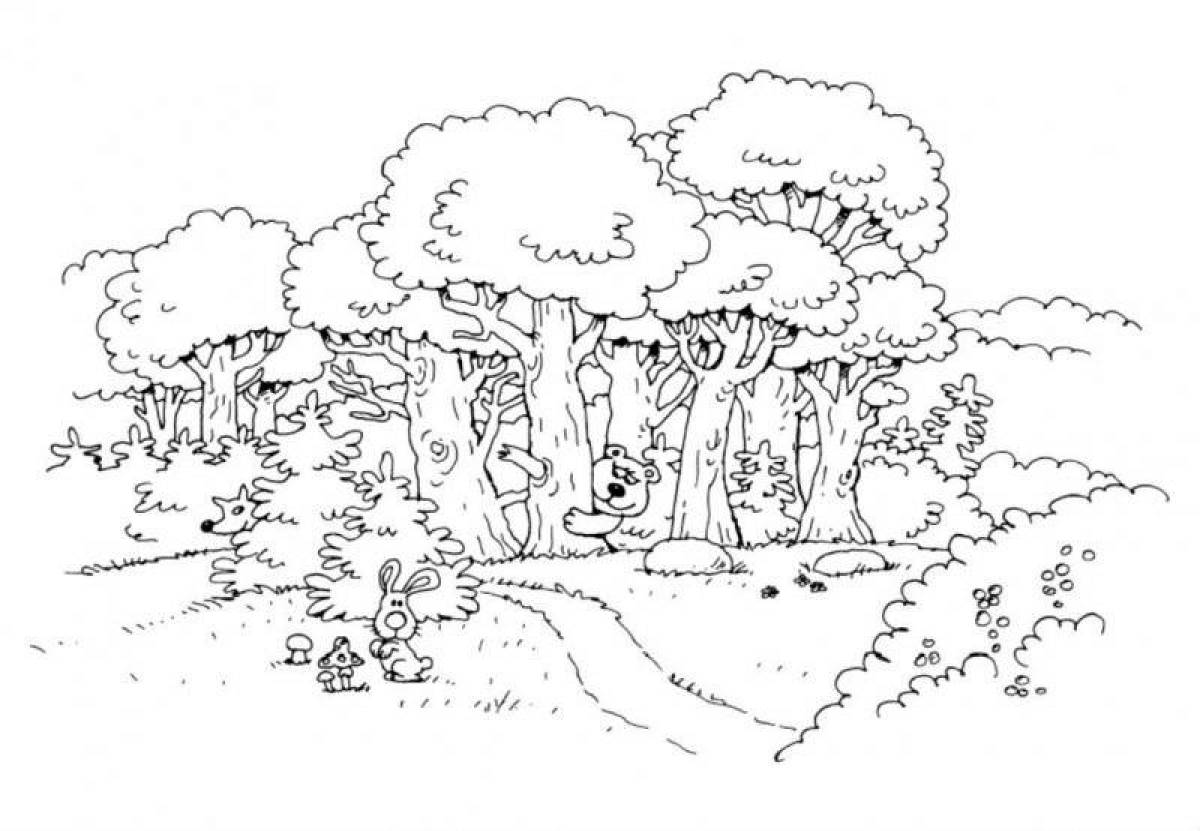 Attractive forest coloring book for kids