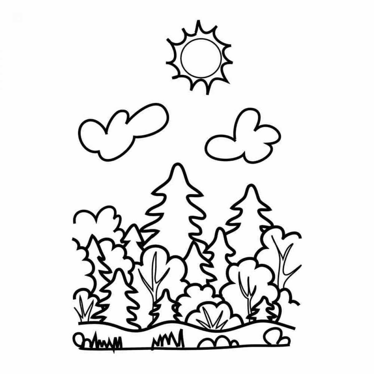 Coloring book inviting forest for kids
