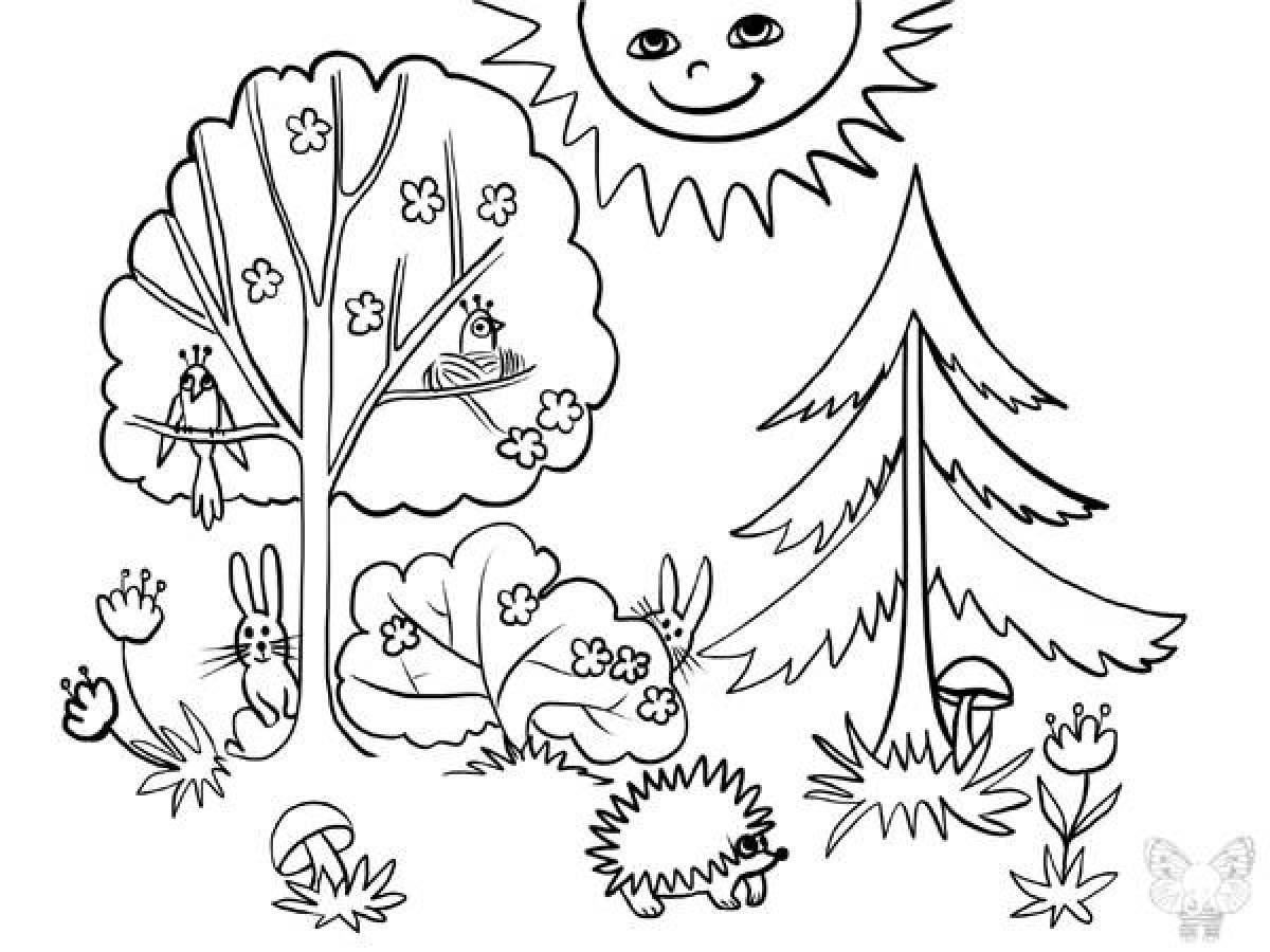 Fabulous forest coloring book for kids