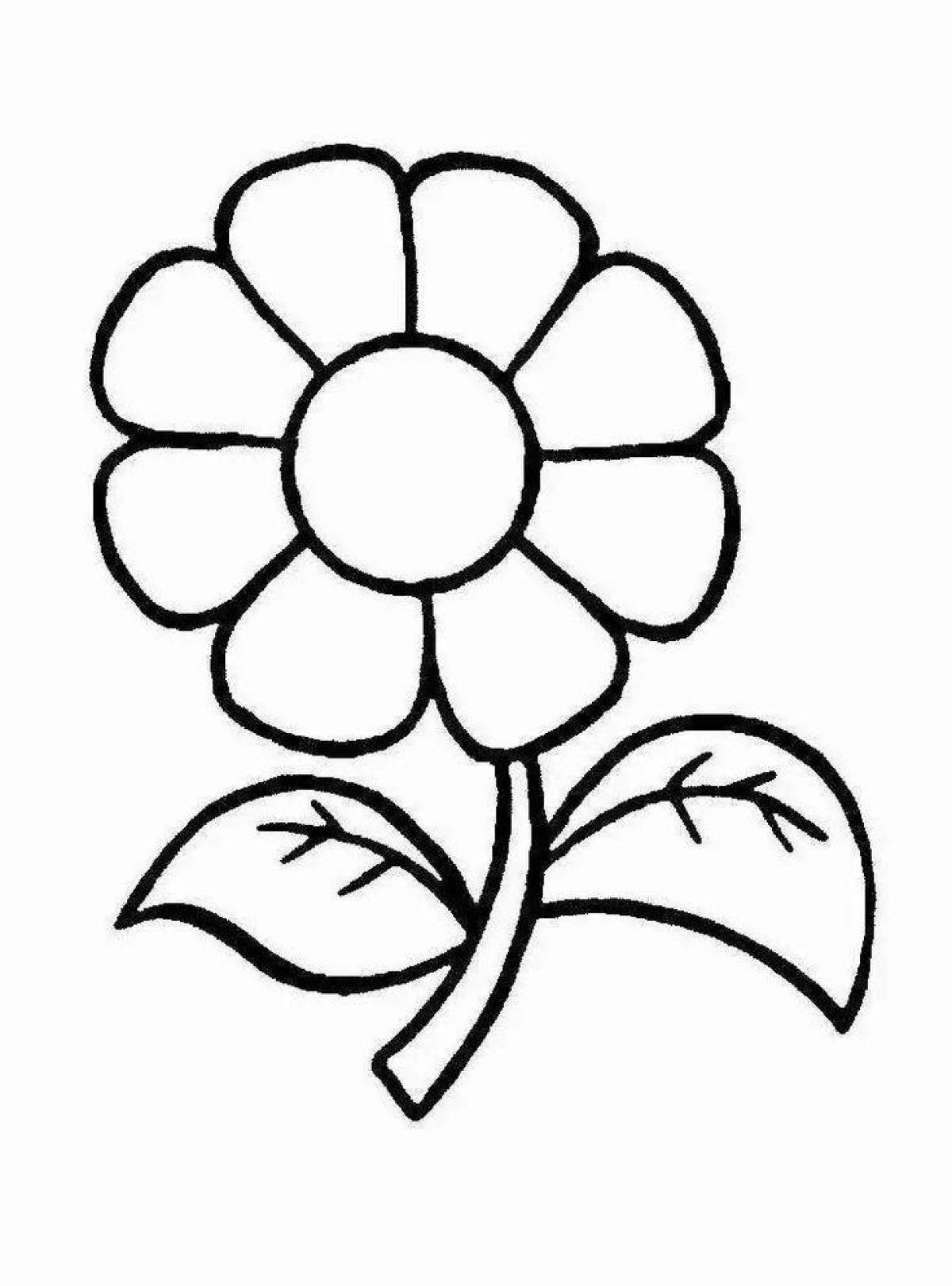 Blissful seven color flower for kids coloring book